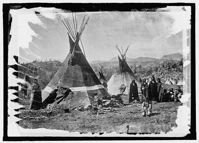 Shoshone Tribe